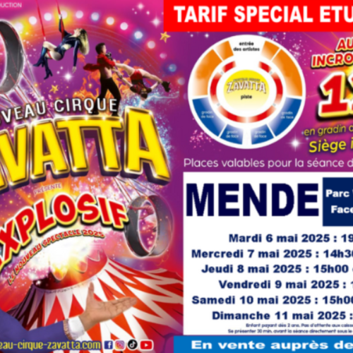 Réductions Cirque Zavatta